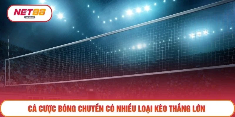 Cá cược bóng chuyền có nhiều loại kèo thắng lớn