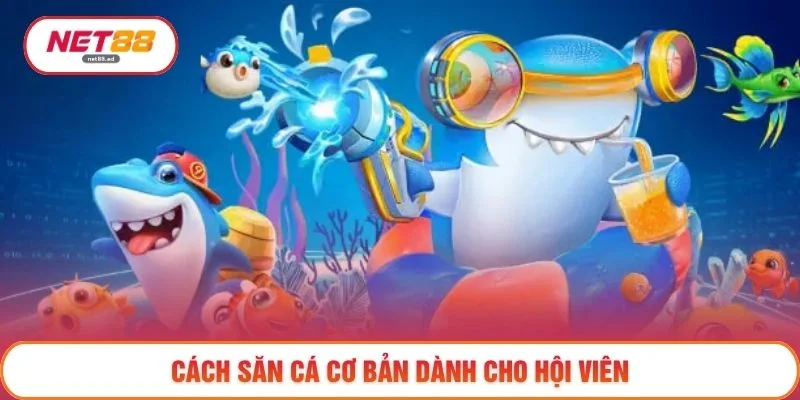 Cách săn cá cơ bản dành cho hội viên