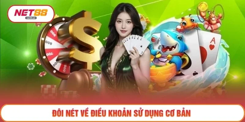 Đôi nét về điều khoản sử dụng cơ bản