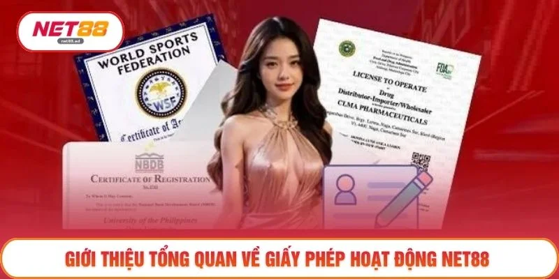 Giới thiệu tổng quan về giấy phép hoạt động NET88