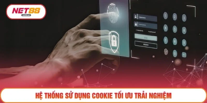 Hệ thống sử dụng cookie tối ưu trải nghiệm