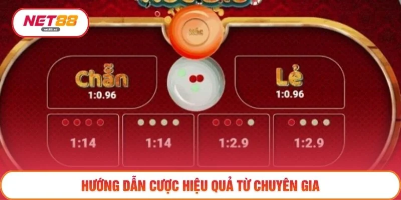 Hướng dẫn cược hiệu quả từ chuyên gia